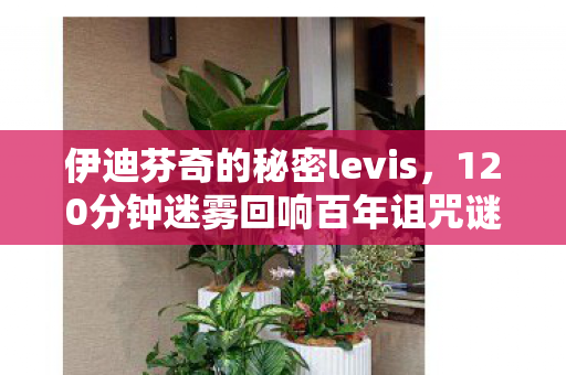 伊迪芬奇的秘密levis，120分钟迷雾回响百年诅咒谜面下，那些被时光凝固的泪目人生