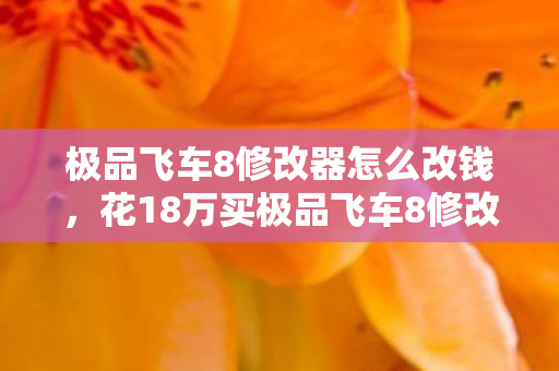 极品飞车8修改器怎么改钱,花18万买极品飞车8修改器,老婆签离婚协议时我才吓一跳! 极品飞车8修改器怎么改钱,花18万买极品飞车8修改器,老婆签离婚协议时我才吓一跳!