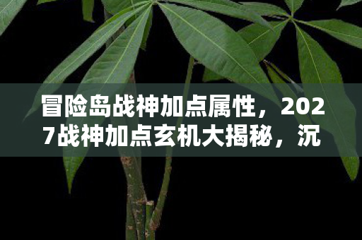 冒险岛战神加点属性,2027战神加点玄机大揭秘,沉默数据背后,这游戏究竟给了我什么? 冒险岛战神加点属性,2027战神加点玄机大揭秘,沉默数据背后,这游戏究竟给了我什么?