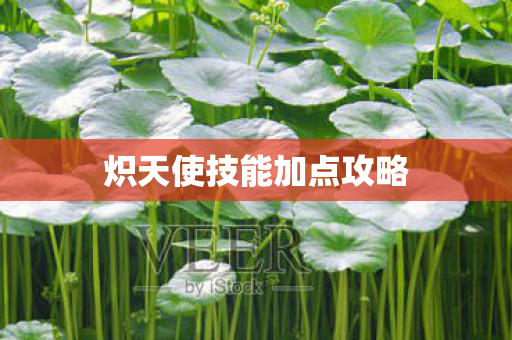 炽天使技能加点攻略图片