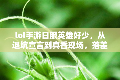 lol手游日服英雄好少，从退坑宣言到真香现场，落差真相里笑着笑着就哭了