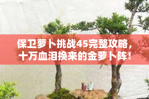 保卫萝卜挑战45完整攻略,十万血泪换来的金萝卜阵!保卫萝卜45关竟藏着这等氪金陷阱? 保卫萝卜挑战45完整攻略,十万血泪换来的金萝卜阵!保卫萝卜45关竟藏着这等氪金陷阱?
