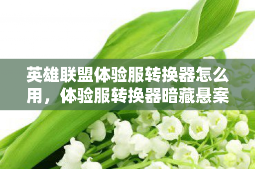 英雄联盟体验服转换器怎么用，体验服转换器暗藏悬案，线索交织，毛骨悚然真相待揭