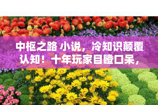 中枢之路 小说,冷知识颠覆认知!十年玩家目瞪口呆,中枢之路竟是新手村? 中枢之路 小说,冷知识颠覆认知!十年玩家目瞪口呆,中枢之路竟是新手村?