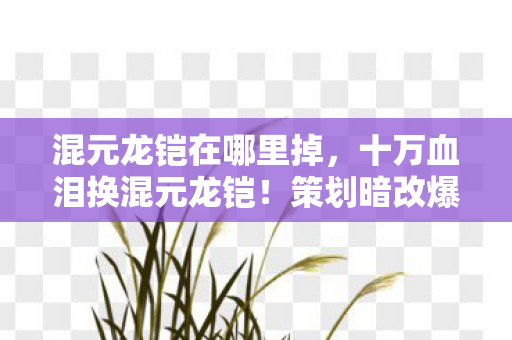 混元龙铠在哪里掉，十万血泪换混元龙铠！策划暗改爆率坑钱黑幕吓破胆
