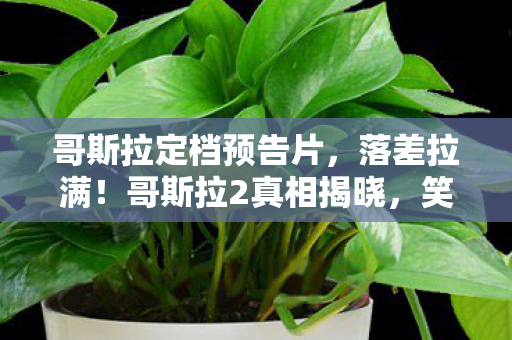 哥斯拉定档预告片，落差拉满！哥斯拉2真相揭晓，笑着笑着，我竟哭了……