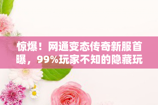 惊爆!网通变态传奇新服首曝,99%玩家不知的隐藏玩法? 惊爆!网通变态传奇新服首曝,99%玩家不知的隐藏玩法?