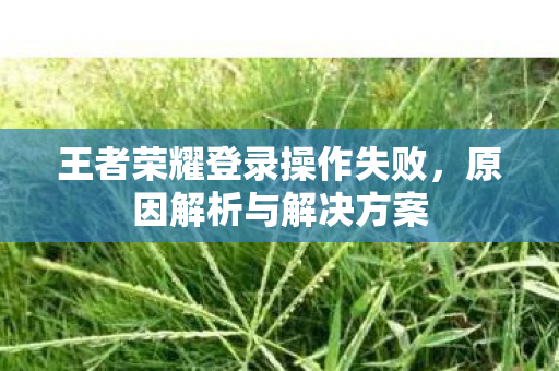 王者荣耀登录操作失败图片