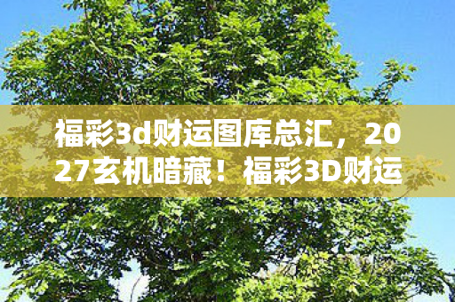福彩3d财运图库总汇,2027玄机暗藏!福彩3D财运图库里,沉默的数字藏着什么人生密码? 福彩3d财运图库总汇,2027玄机暗藏!福彩3D财运图库里,沉默的数字藏着什么人生密码?