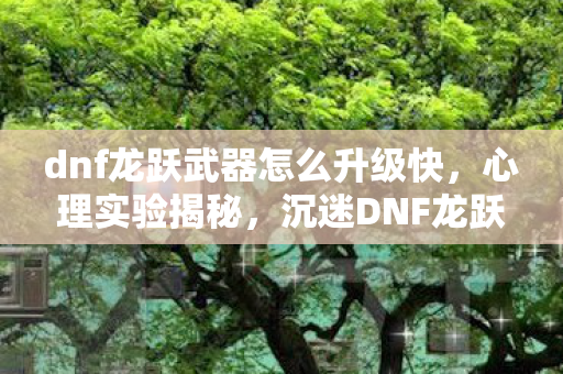 dnf龙跃武器怎么升级快，心理实验揭秘，沉迷DNF龙跃升级，细思极恐的自我囚禁
