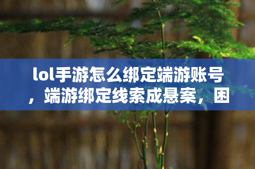lol手游怎么绑定端游账号，端游绑定线索成悬案，困兽十年竟觉毛骨悚然