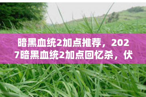 暗黑血统2加点推荐，2027暗黑血统2加点回忆杀，伏笔深埋，鼻子一酸终成永恒