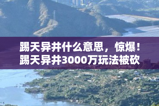 踢天异井什么意思，惊爆！踢天异井3000万玩法被砍，背后隐情让人吓一跳！