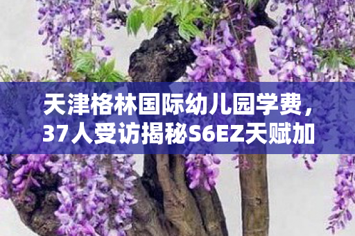 天津格林国际幼儿园学费，37人受访揭秘S6EZ天赋加点疑点，老玩家绷不住泪洒网吧