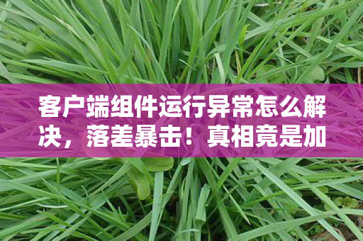 客户端组件运行异常怎么解决，落差暴击！真相竟是加载成精？笑着笑着就哭了，这波操作太绝了！