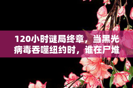 120小时谜局终章，当黑光病毒吞噬纽约时，谁在尸堆里刻下救我？
