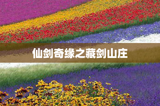 仙剑奇缘之藏剑山庄图片