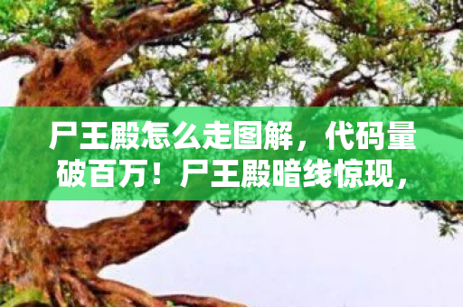 尸王殿怎么走图解,代码量破百万!尸王殿暗线惊现,头皮发麻的终极指挥战 尸王殿怎么走图解,代码量破百万!尸王殿暗线惊现,头皮发麻的终极指挥战