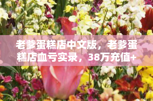 老爹蛋糕店中文版,老爹蛋糕店血亏实录,38万充值+离婚协议+老婆吓到离家出走! 老爹蛋糕店中文版,老爹蛋糕店血亏实录,38万充值+离婚协议+老婆吓到离家出走!