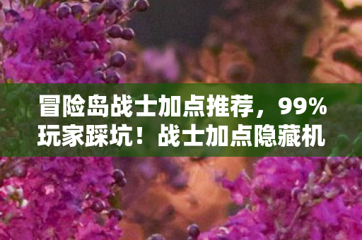 冒险岛战士加点推荐,99%玩家踩坑!战士加点隐藏机制大反转,颠覆你的认知! 冒险岛战士加点推荐,99%玩家踩坑!战士加点隐藏机制大反转,颠覆你的认知!