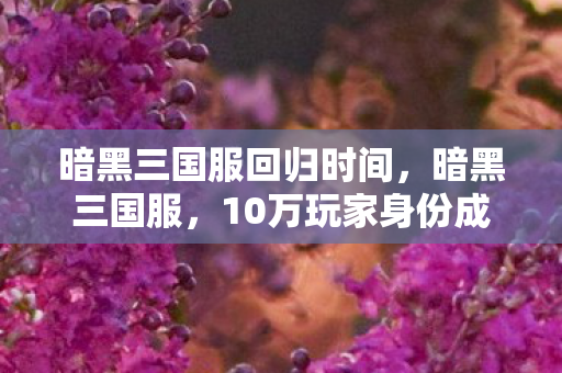 暗黑三国服回归时间,暗黑三国服,10万玩家身份成谜,谁在深夜为它泪洒屏幕? 暗黑三国服回归时间,暗黑三国服,10万玩家身份成谜,谁在深夜为它泪洒屏幕?
