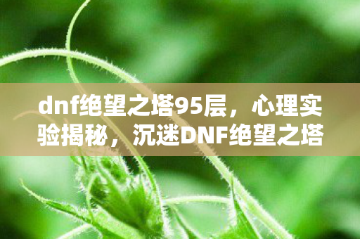 dnf绝望之塔95层，心理实验揭秘，沉迷DNF绝望之塔，多巴胺陷阱细思极恐