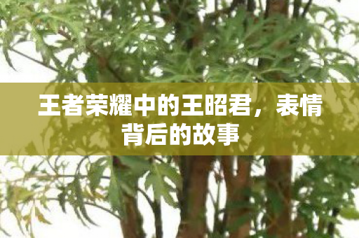 王者荣耀中的王昭君图片