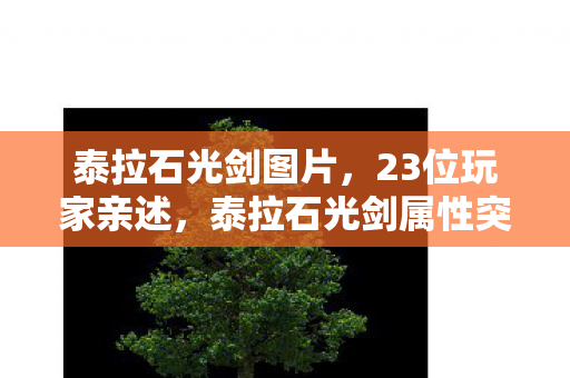 泰拉石光剑图片，23位玩家亲述，泰拉石光剑属性突变疑云，策划这波操作我绷不住了！