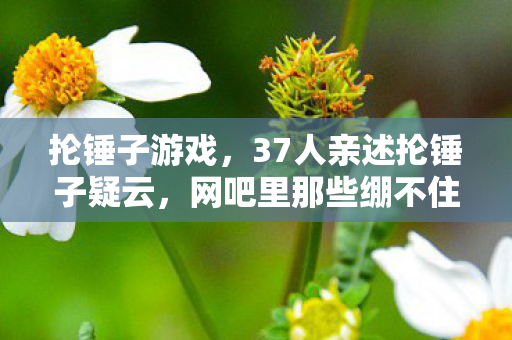 抡锤子游戏，37人亲述抡锤子疑云，网吧里那些绷不住的眼泪与笑声