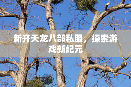 新开天龙八部私服图片