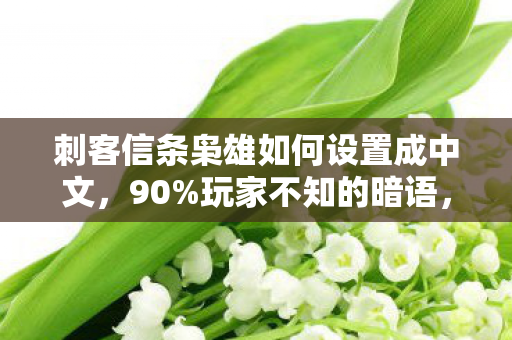 刺客信条枭雄如何设置成中文,90%玩家不知的暗语,枭雄中文设置竟藏着这把扎心钥匙 刺客信条枭雄如何设置成中文,90%玩家不知的暗语,枭雄中文设置竟藏着这把扎心钥匙