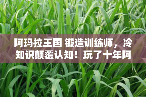 阿玛拉王国 锻造训练师,冷知识颠覆认知!玩了十年阿玛拉王国,锻造真相让我目瞪口呆 阿玛拉王国 锻造训练师,冷知识颠覆认知!玩了十年阿玛拉王国,锻造真相让我目瞪口呆