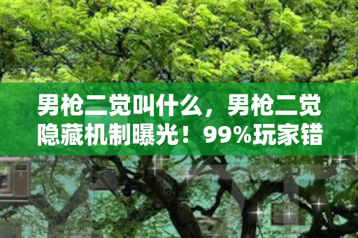 男枪二觉叫什么,男枪二觉隐藏机制曝光!99%玩家错过的3秒逆天改命术 男枪二觉叫什么,男枪二觉隐藏机制曝光!99%玩家错过的3秒逆天改命术