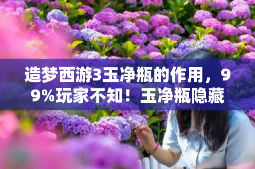 造梦西游3玉净瓶的作用,99%玩家不知!玉净瓶隐藏300%暴击链竟被策划暗改? 造梦西游3玉净瓶的作用,99%玩家不知!玉净瓶隐藏300%暴击链竟被策划暗改?