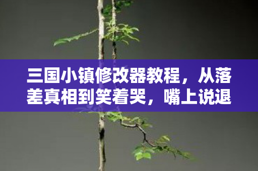 三国小镇修改器教程，从落差真相到笑着哭，嘴上说退坑，身体却诚实点开三国小镇2修改器