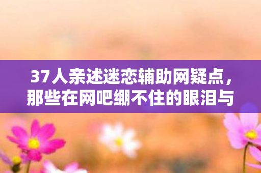 37人亲述迷恋辅助网疑点，那些在网吧绷不住的眼泪与狂笑