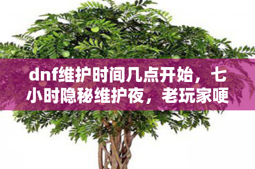 dnf维护时间几点开始，七小时隐秘维护夜，老玩家哽咽，我的青春在服务器里沉睡