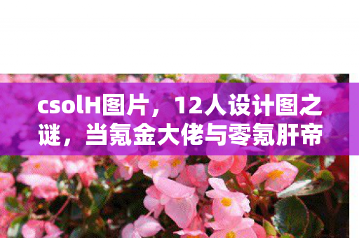 csolH图片，12人设计图之谜，当氪金大佬与零氪肝帝同时破防