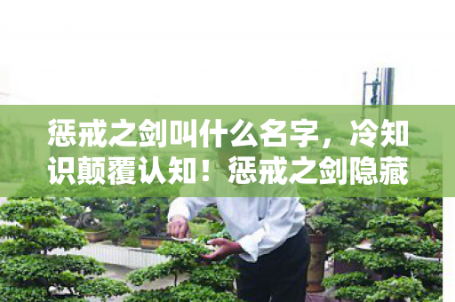 惩戒之剑叫什么名字，冷知识颠覆认知！惩戒之剑隐藏机制曝光，玩家目瞪口呆