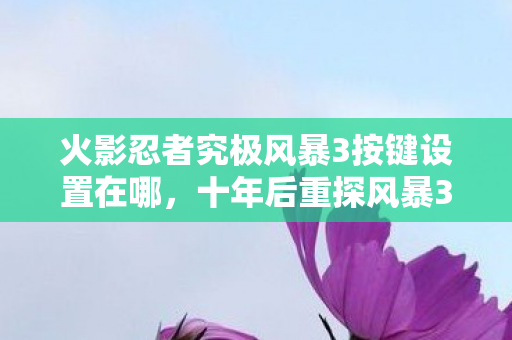 火影忍者究极风暴3按键设置在哪，十年后重探风暴3按键玄机，当年指尖震颤竟藏着命运密码？