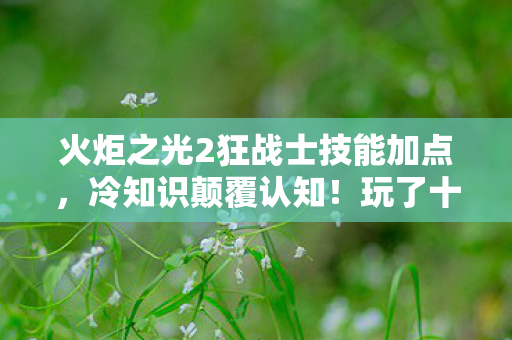 火炬之光2狂战士技能加点，冷知识颠覆认知！玩了十年火炬之光2，我竟目瞪口呆发现……