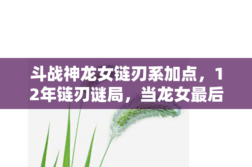 斗战神龙女链刃系加点，12年链刃谜局，当龙女最后一击撕裂时空，谁在数据洪流中泪目？