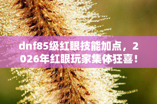 dnf85级红眼技能加点，2026年红眼玩家集体狂喜！这套加点竟藏着逆天翻盘密码？