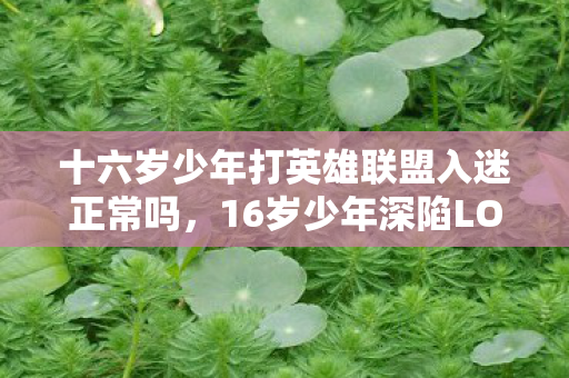 最速335i，50名玩家亲历最速335疑云，当BUG变成全民狂欢，真相让人绷不住！