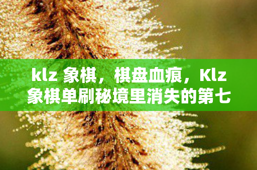 klz 象棋，棋盘血痕，Klz象棋单刷秘境里消失的第七步与永不落子的幽灵