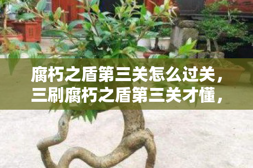 腐朽之盾第三关怎么过关，三刷腐朽之盾第三关才懂，蹊跷机制背后，后背发凉的真相