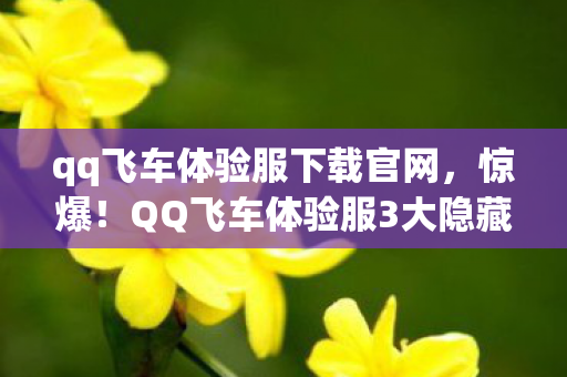 qq飞车体验服下载官网,惊爆!QQ飞车体验服3大隐藏玩法曝光,99%玩家竟不知? qq飞车体验服下载官网,惊爆!QQ飞车体验服3大隐藏玩法曝光,99%玩家竟不知?