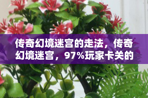 传奇幻境迷宫的走法，传奇幻境迷宫，97%玩家卡关的背后，藏着2024年游戏圈最暴利的情绪经济
