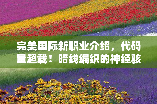 完美国际新职业介绍，代码量超载！暗线编织的神经骇客，你的头皮发麻是第几层协议？