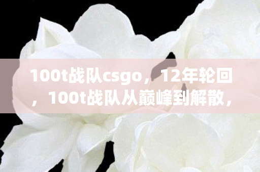 100t战队csgo,12年轮回,100t战队从巅峰到解散,泪目背后藏着什么? 100t战队csgo,12年轮回,100t战队从巅峰到解散,泪目背后藏着什么?